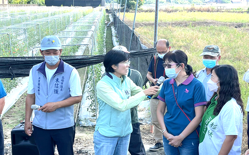 a1108立委林岱樺偕同市議員朱信強會勘美濃與杉林區番茄農場1