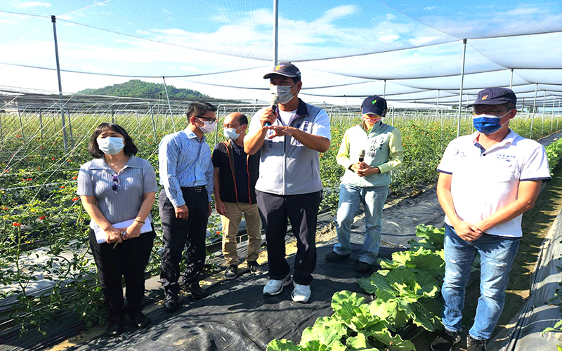 a1108立委林岱樺偕同市議員朱信強會勘美濃與杉林區番茄農場2