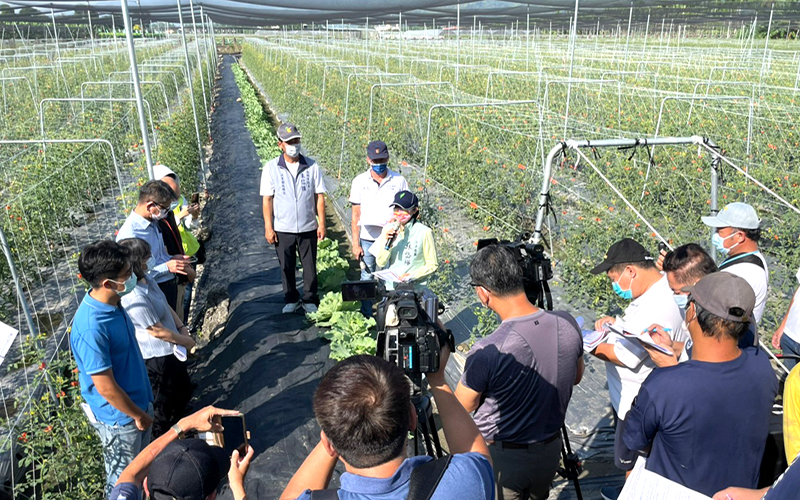 a1108立委林岱樺偕同市議員朱信強會勘美濃與杉林區番茄農場3